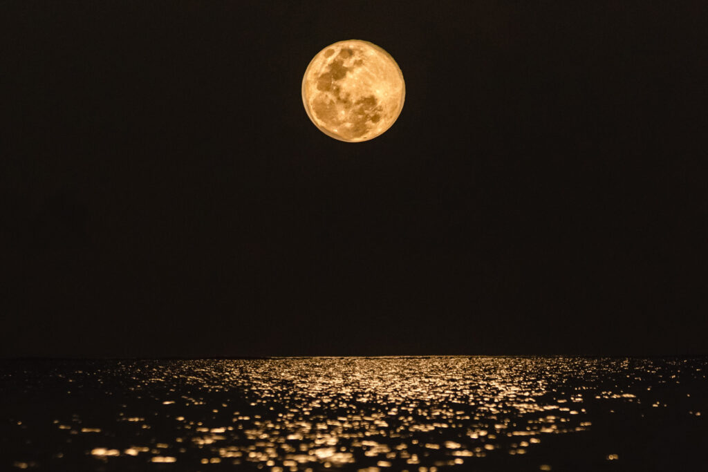 volle maan in schorpioen