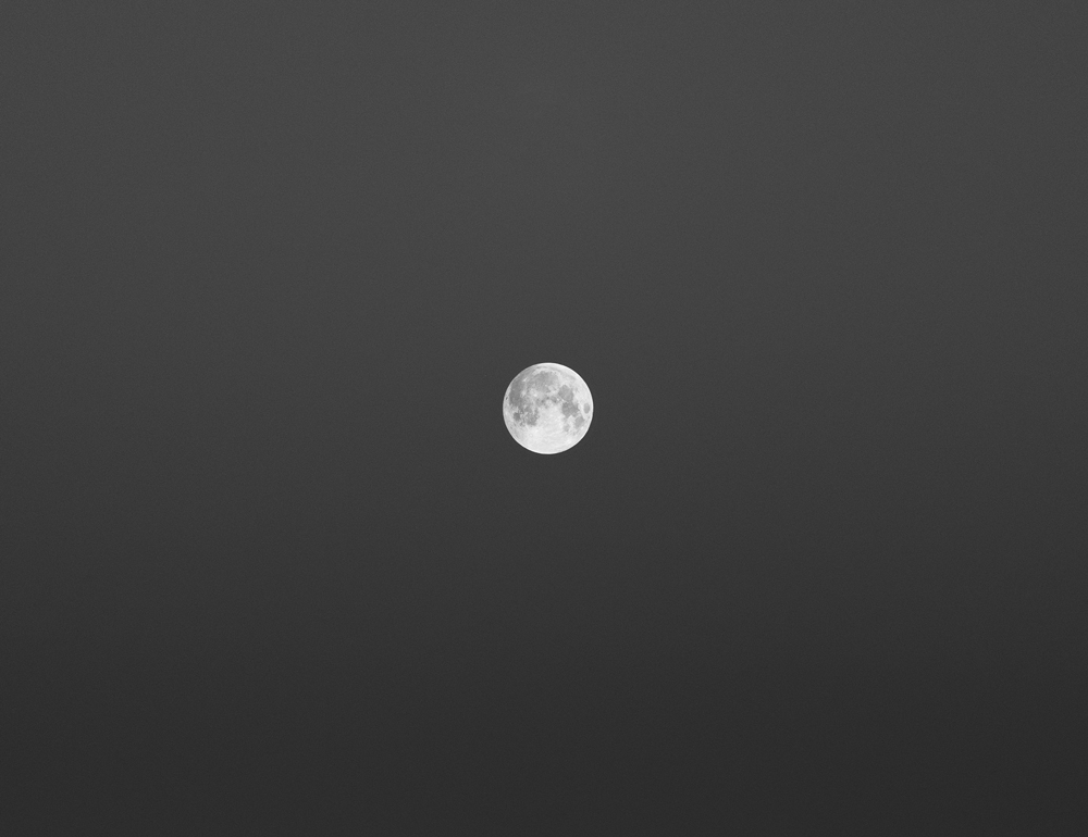volle maan in boogschutter